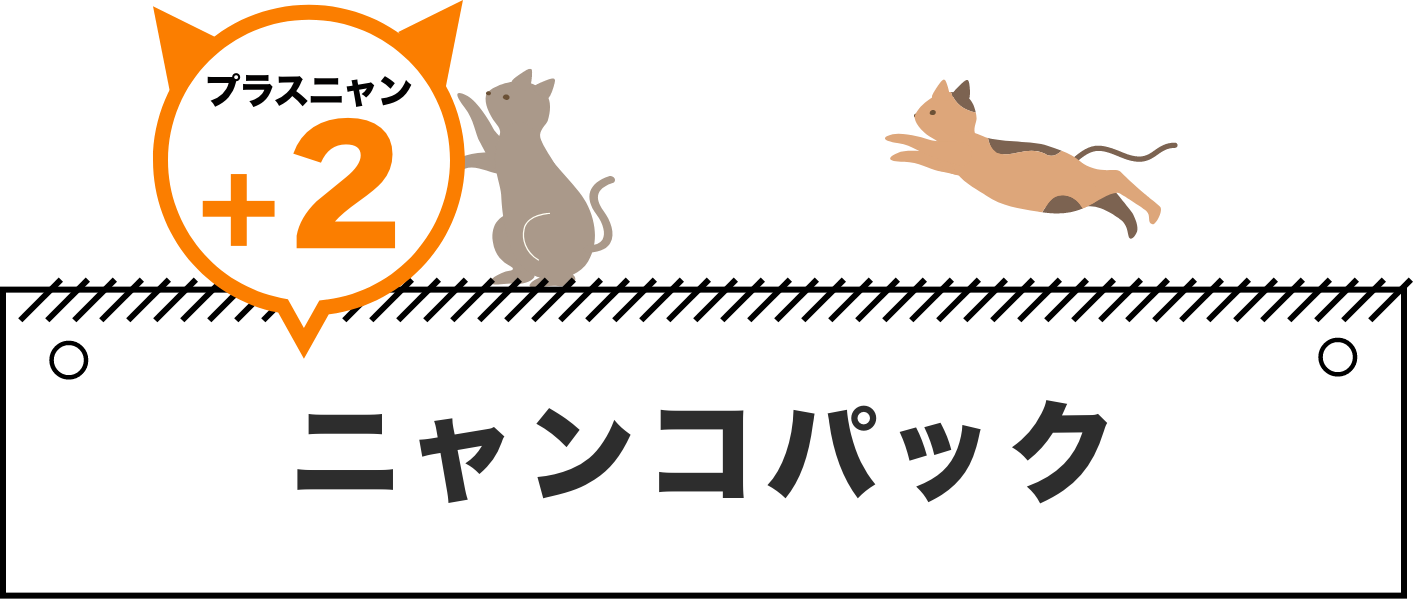ニャンコパック