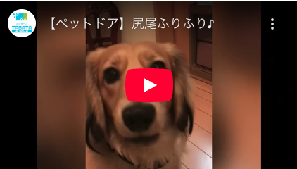 問い合わせ増えてますΣ(･ω･ﾉ)ﾉ！